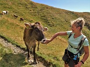 21 La mucca gradisce la carezza...e ricambia.